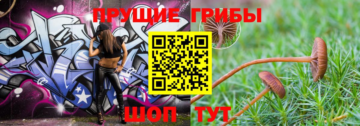 Галлюциногенные грибы GOLDEN TEACHER Горячий Ключ